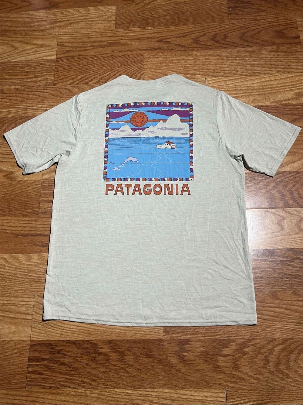 Patagonia Men's Capilene Cool Daily Graphic Tee Medium